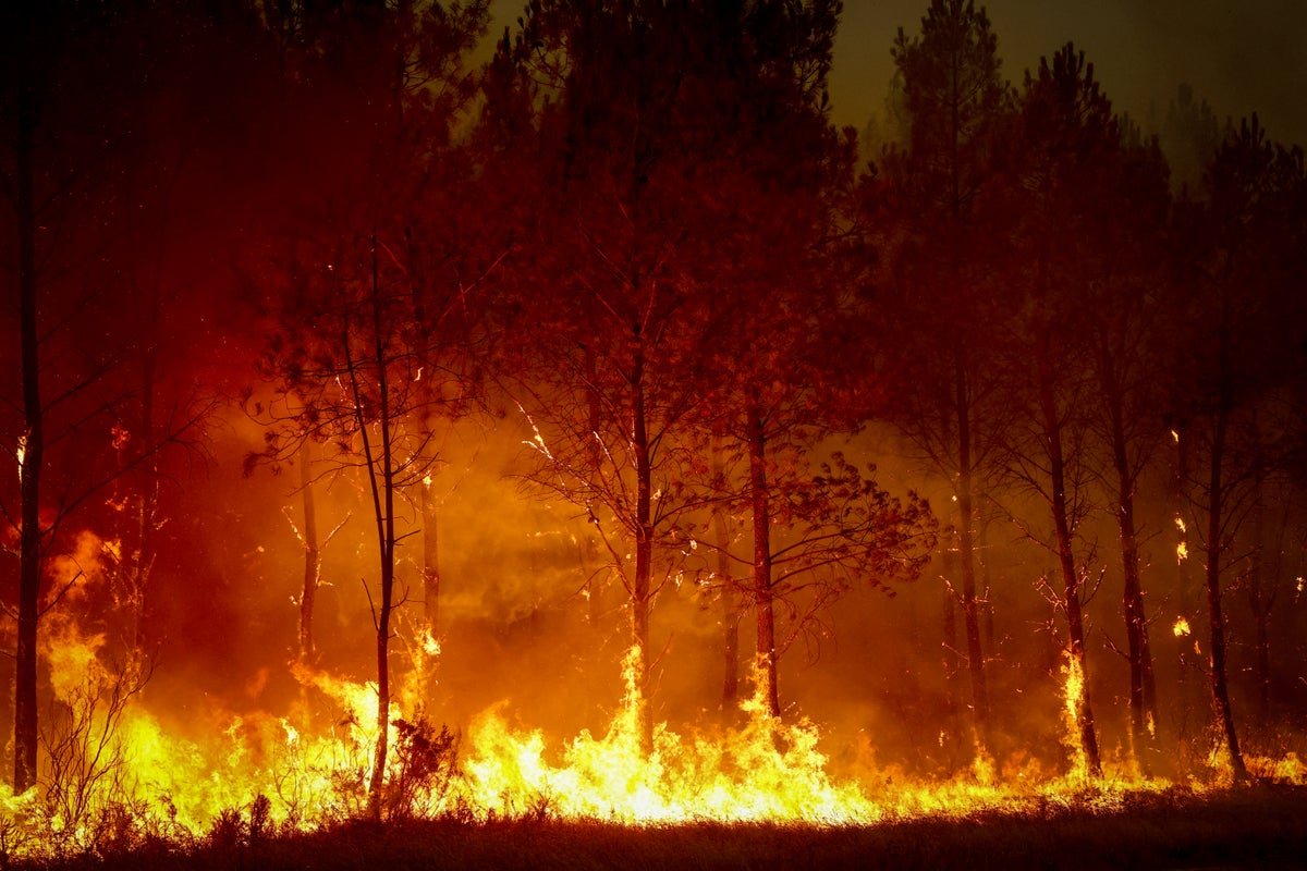 Europe's wildfire crisis deepens as climate policies lag behind new reality