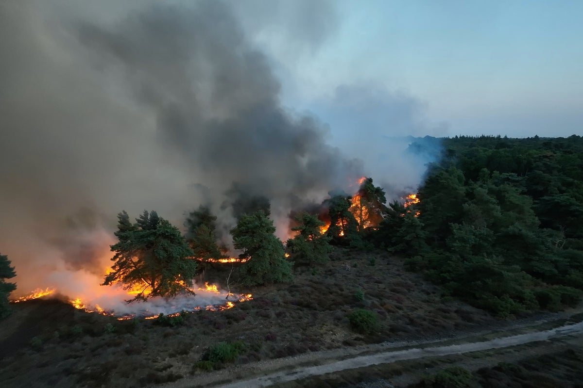Suffolk Wildfire Prompts Evacuations and Sizewell B Nuclear Plant Alert