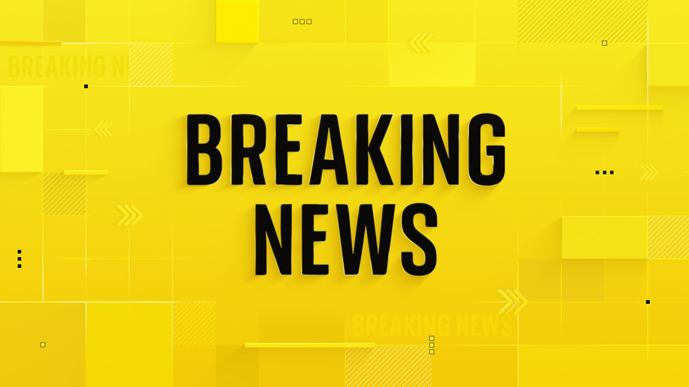 Several injured as car drives into crowd at Berlin Pride event in Tiergarten park