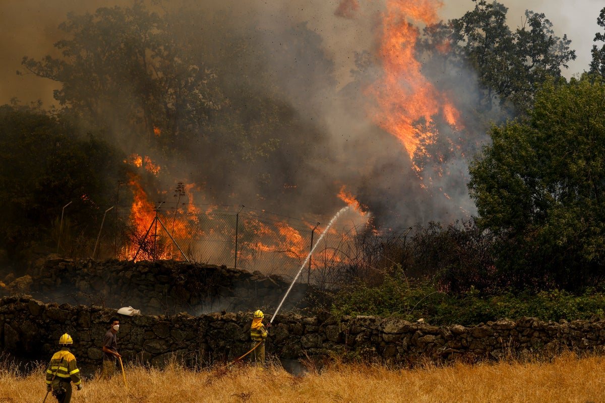 France and Spain race to control wildfires as suburbs of Bordeaux begin evacuation – live
